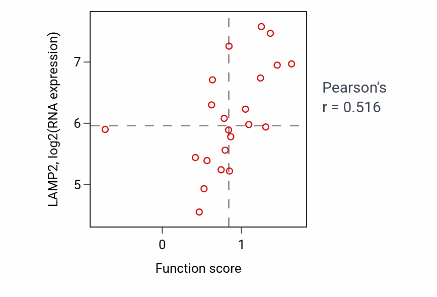 Per-sample scatter of Cerebral cortex radially oriented cell migration activity vs LAMP2 in STOMACH.