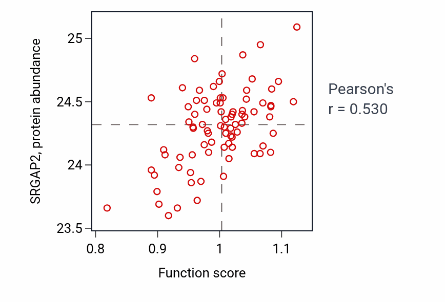 Per-sample scatter of Cell motility involved in cerebral cortex radial glia guided migration activity vs SRGAP2 in OV.