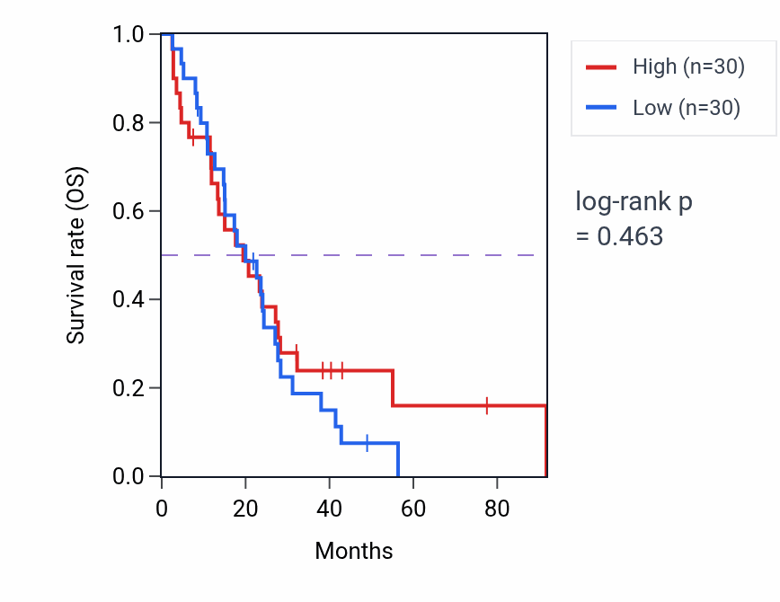 Kaplan&ndash;Meier survival curve for Cell motility involved in cerebral cortex radial glia guided migration pathway activity in MESO: high vs low activity groups.