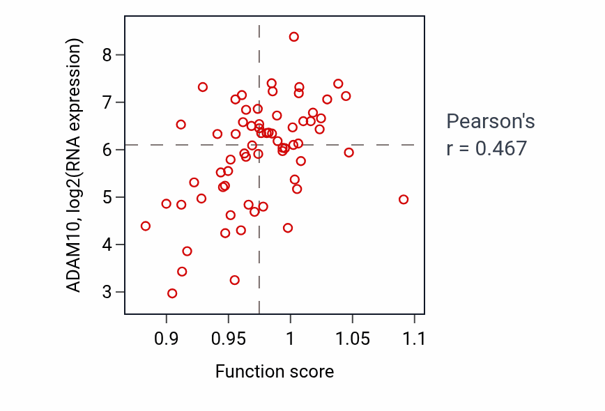 Per-sample scatter of Regulation of cell morphogenesis activity vs ADAM10 in LARGE_INTESTINE.