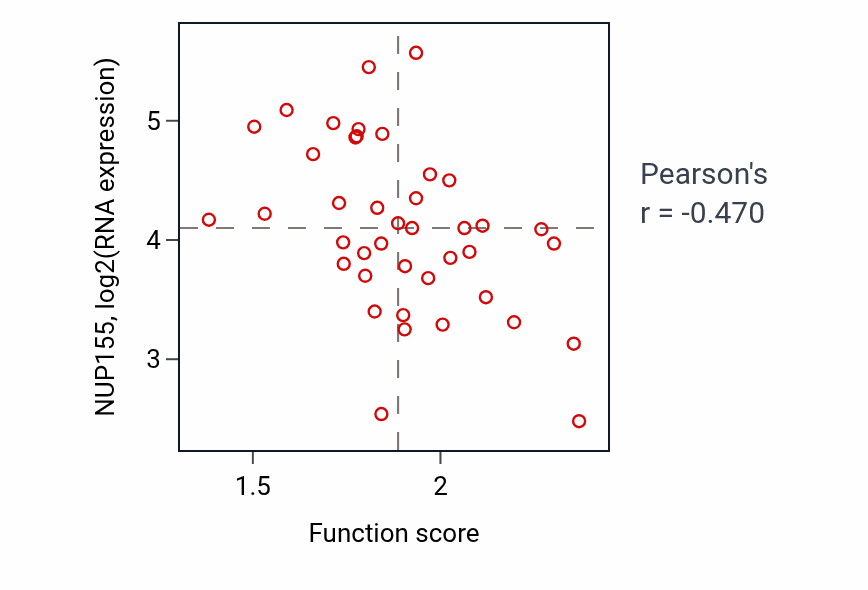 Per-sample scatter of Electron transport chain activity vs NUP155 in LARGE_INTESTINE.