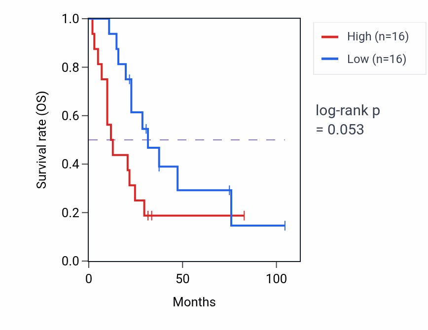 Kaplan&ndash;Meier survival curve for Intracellular monoatomic anion homeostasis pathway activity in SCLC: high vs low activity groups.