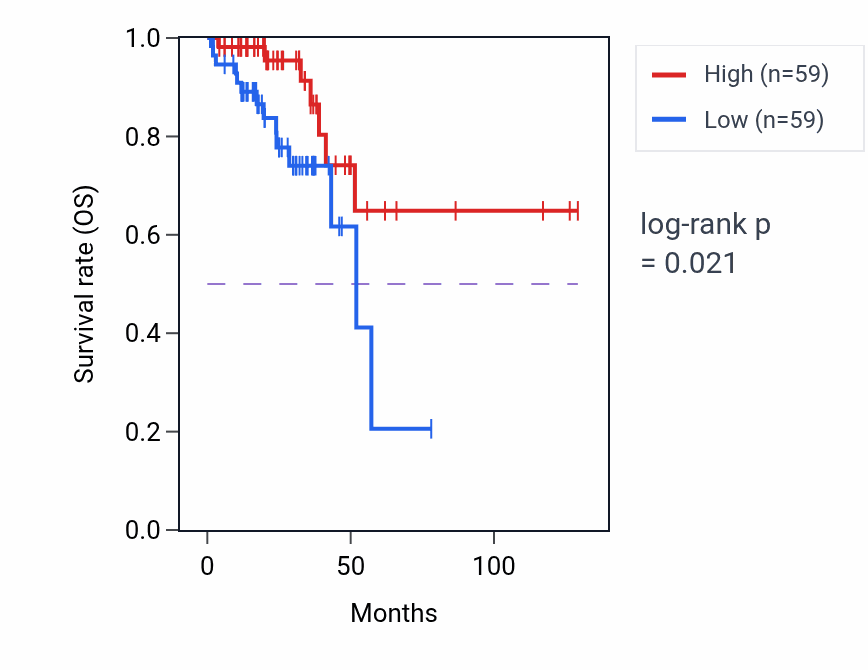 Kaplan&ndash;Meier survival curve for Intracellular potassium ion homeostasis pathway activity in READ: high vs low activity groups.