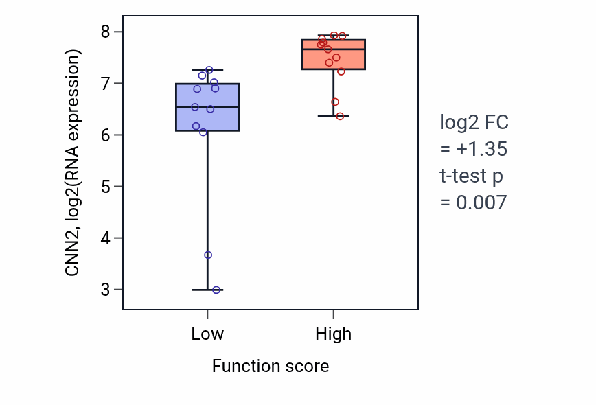 Box plot of CNN2 in Actin filament depolymerization-low vs -high samples in SOFT_TISSUE.
