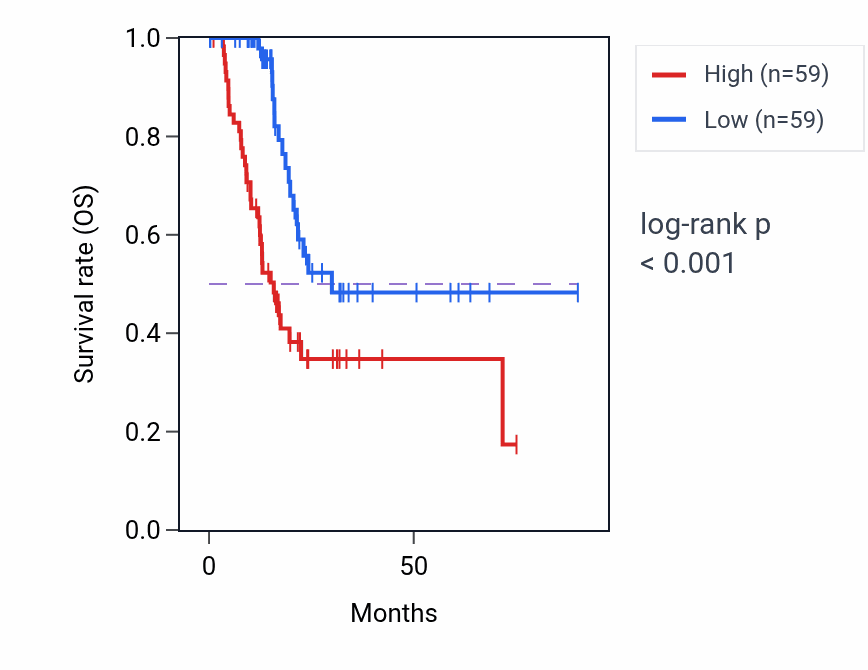 Kaplan&ndash;Meier survival curve for Keratinocyte differentiation pathway activity in PAAD: high vs low activity groups.