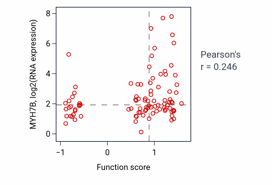 Per-sample scatter of Skeletal muscle thin filament assembly activity vs MYH7B in UCEC.