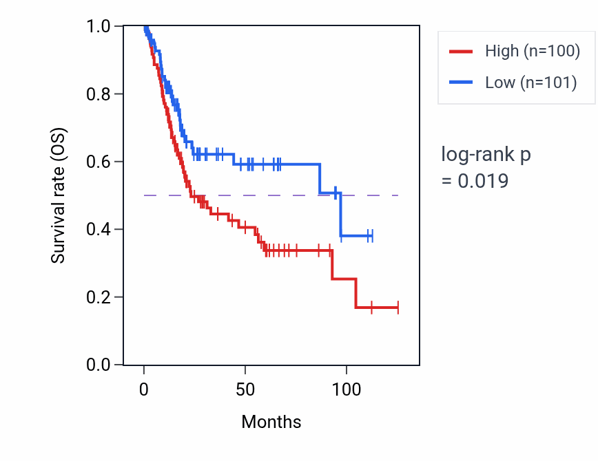Kaplan&ndash;Meier survival curve for Intestinal cholesterol absorption pathway activity in BLCA: high vs low activity groups.