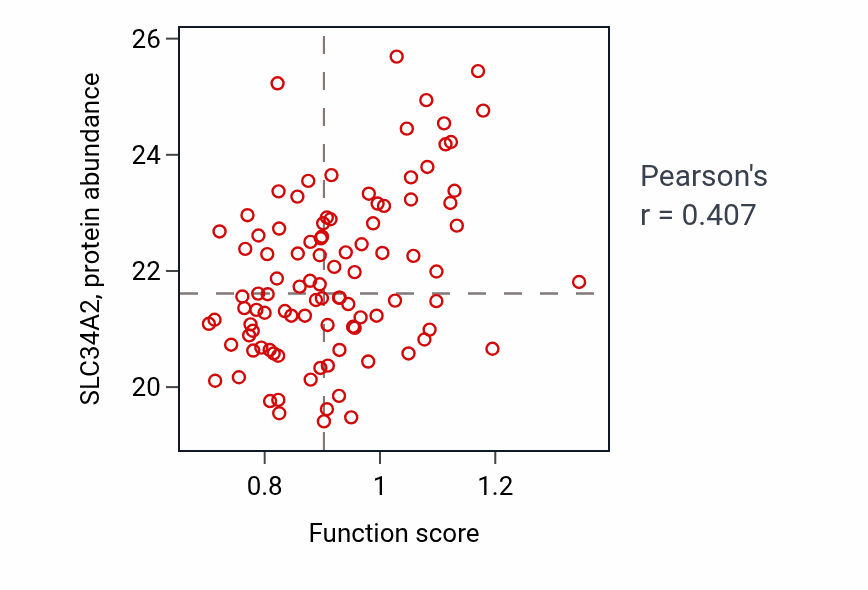 Per-sample scatter of Intracellular phosphate ion homeostasis activity vs SLC34A2 in CCRCC.