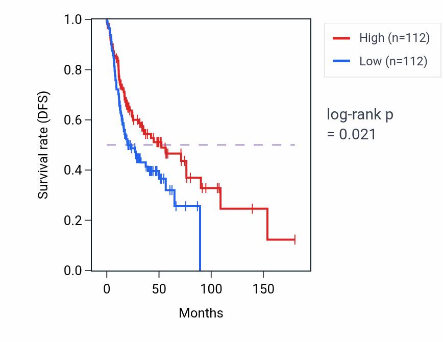 Kaplan&ndash;Meier survival curve for Cytoskeleton-dependent intracellular transport pathway activity in HNSC: high vs low activity groups.