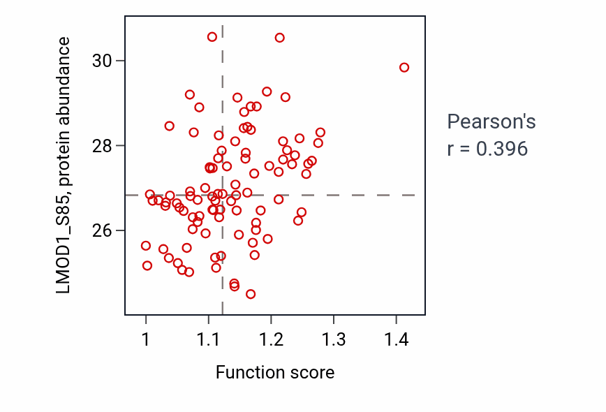 Per-sample scatter of Positive regulation of actin filament polymerization activity vs LMOD1_S85 in UCEC.