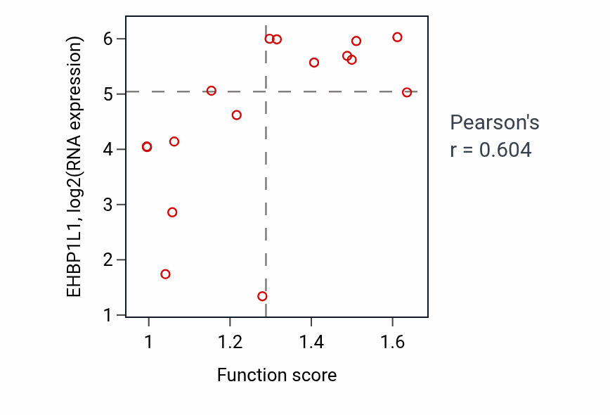 Per-sample scatter of Cortical cytoskeleton organization activity vs EHBP1L1 in SOFT_TISSUE.