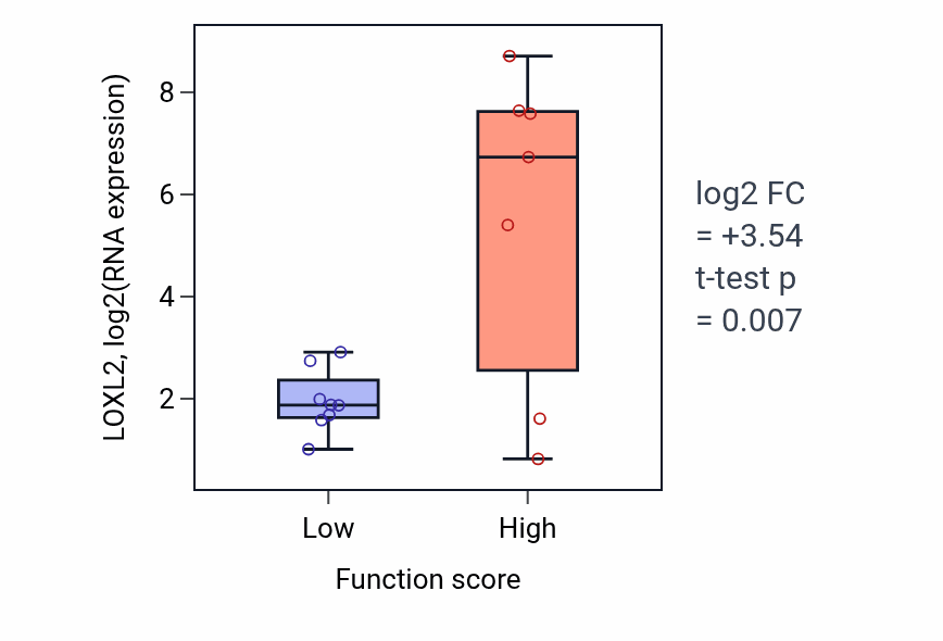 Box plot of LOXL2 in Cortical cytoskeleton organization-low vs -high samples in BONE.