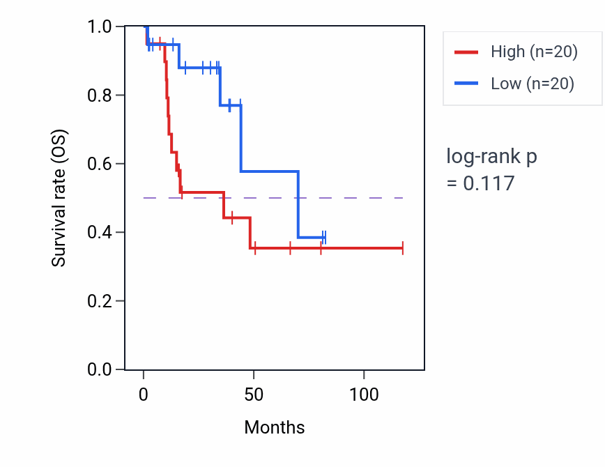 Kaplan&ndash;Meier survival curve for Endocrine pancreas development pathway activity in LUSC: high vs low activity groups.