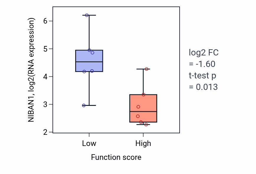 Box plot of NIBAN1 in Myosin filament organization-low vs -high samples in URINARY_TRACT.