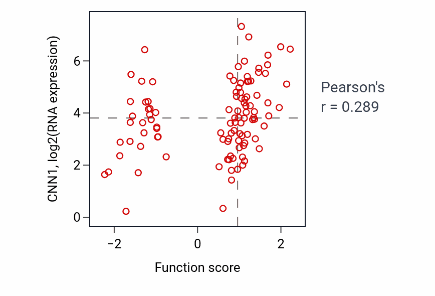Per-sample scatter of Myosin filament organization activity vs CNN1 in CCRCC.