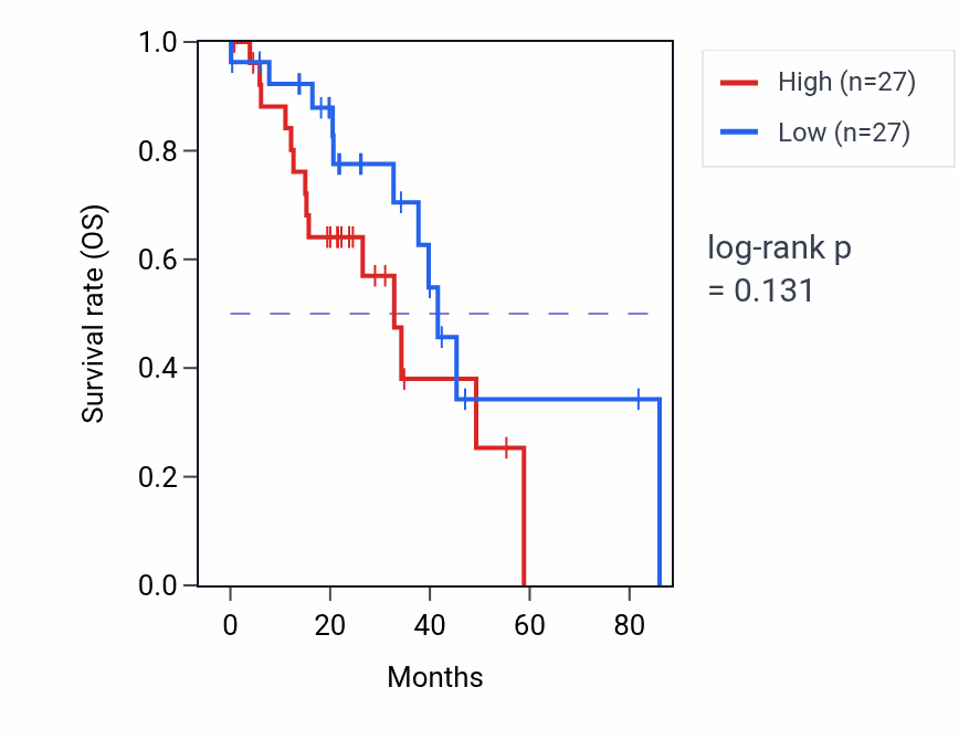 Kaplan&ndash;Meier survival curve for rRNA pseudouridine synthesis pathway activity in LUAD: high vs low activity groups.