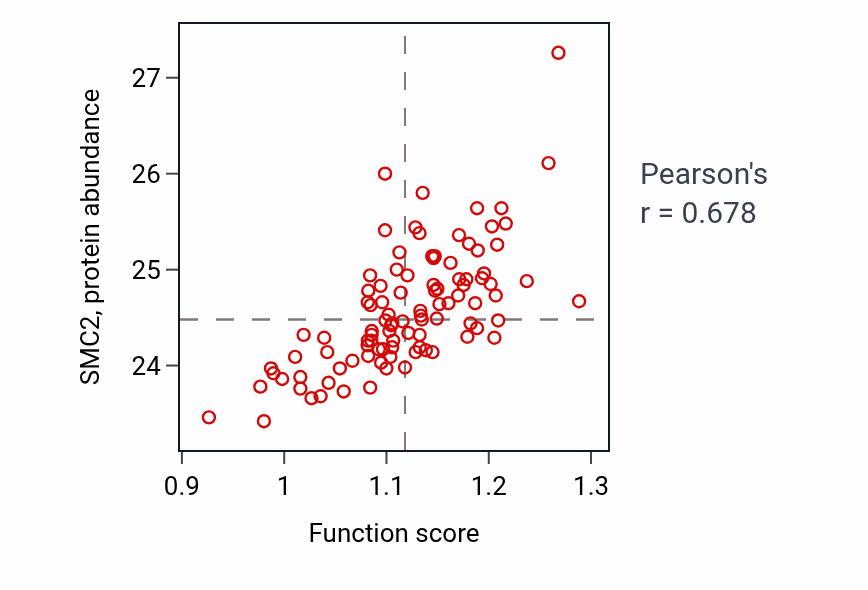 Per-sample scatter of Mitotic intra-S DNA damage checkpoint signaling activity vs SMC2 in GBM.
