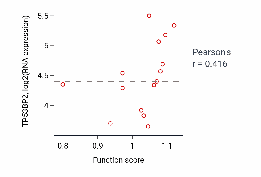 Per-sample scatter of Mitochondrial DNA metabolic process activity vs TP53BP2 in BONE.