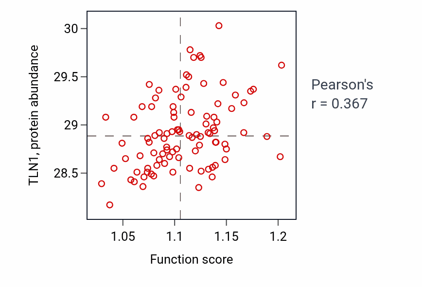 Per-sample scatter of Positive regulation of actin filament bundle assembly activity vs TLN1 in COAD.