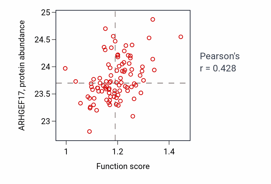 Per-sample scatter of Negative regulation of protein polymerization activity vs ARHGEF17 in UCEC.