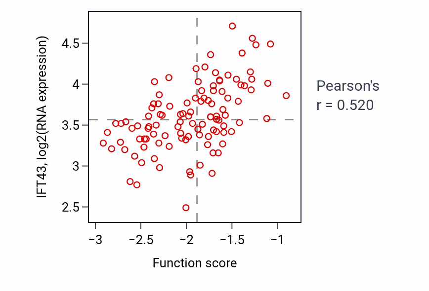 Per-sample scatter of Positive regulation of chondrocyte differentiation activity vs IFT43 in LSCC.