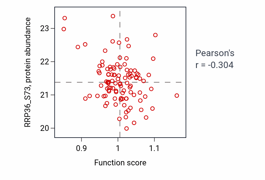 Per-sample scatter of Positive regulation of chondrocyte differentiation activity vs RRP36_S73 in PDAC.