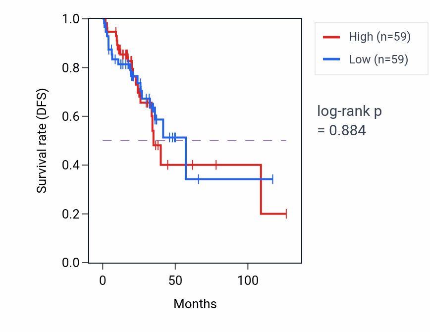 Kaplan&ndash;Meier survival curve for Negative regulation of endoplasmic reticulum calcium ion concentration pathway activity in READ: high vs low activity groups.