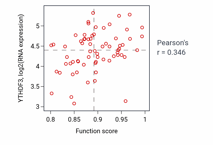 Per-sample scatter of Rap protein signal transduction activity vs YTHDF3 in LARGE_INTESTINE.