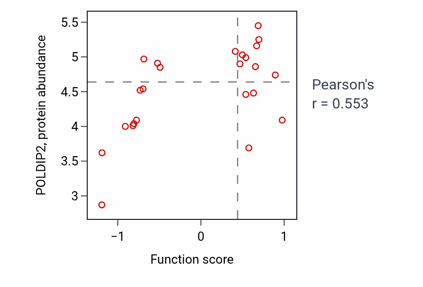 Per-sample scatter of Muscle cell proliferation activity vs POLDIP2 in PANCREAS.