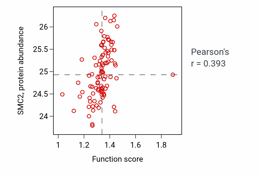 Per-sample scatter of Regulation of chromosome organization activity vs SMC2 in UCEC.