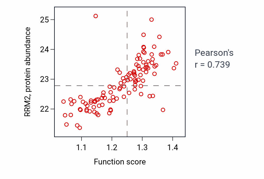Per-sample scatter of Regulation of sister chromatid segregation activity vs RRM2 in LUAD.