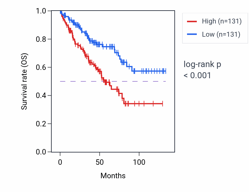 Kaplan&ndash;Meier survival curve for Mitochondrial proton-transporting ATP synthase complex assembly pathway activity in KIRC: high vs low activity groups.