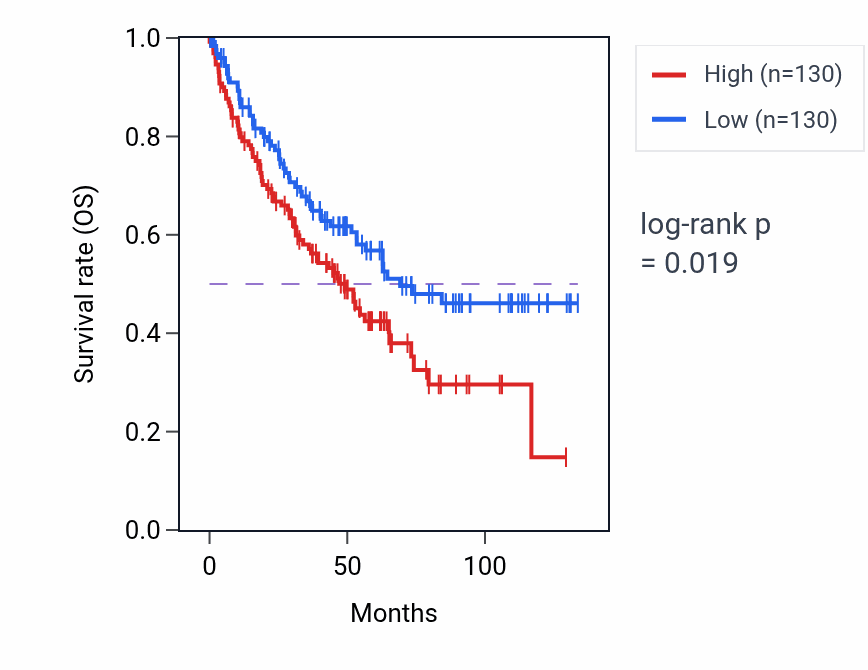 Kaplan&ndash;Meier survival curve for Mitochondrial cytochrome c oxidase assembly pathway activity in KIRC: high vs low activity groups.