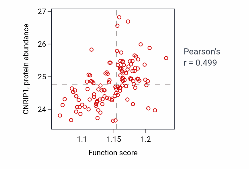 Per-sample scatter of Negative regulation of kinase activity activity vs CNRIP1 in BRCA.