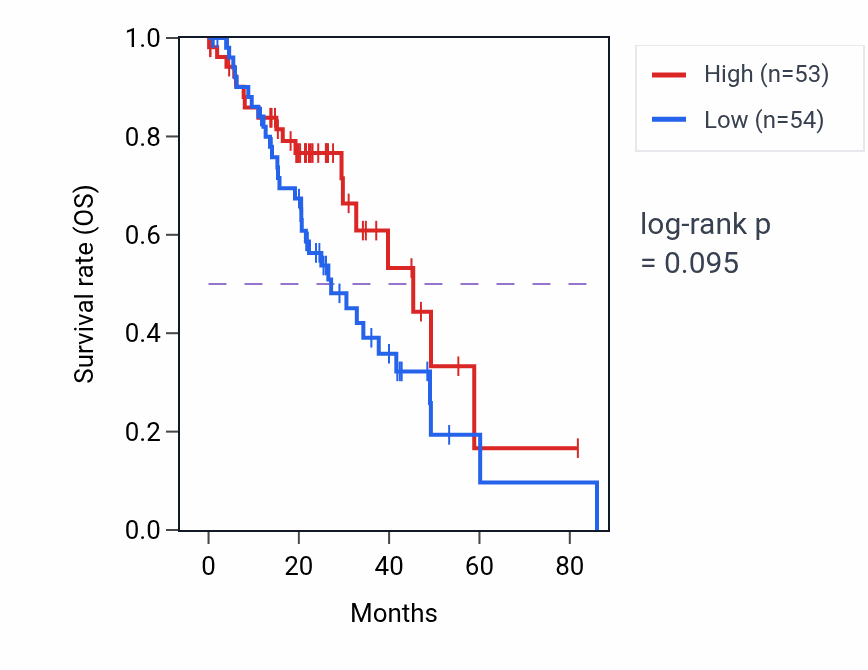Kaplan&ndash;Meier survival curve for Phospholipid efflux pathway activity in LUAD: high vs low activity groups.