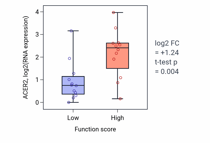 Box plot of ACER2 in Positive regulation of maintenance of sister chromatid cohesion-low vs -high samples in STOMACH.