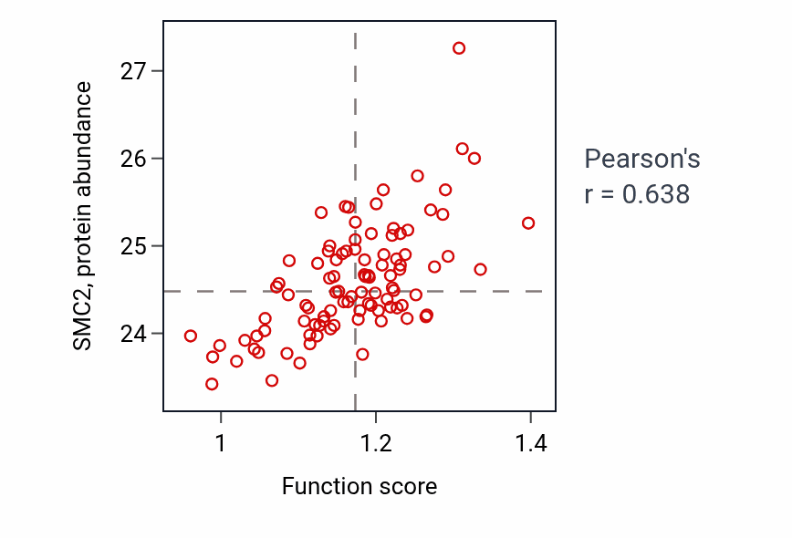 Per-sample scatter of Positive regulation of maintenance of sister chromatid cohesion activity vs SMC2 in GBM.