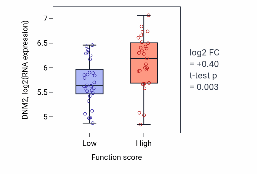 Box plot of DNM2 in Very-low-density lipoprotein particle assembly-low vs -high samples in LUNG_NSCLC_LUAD.