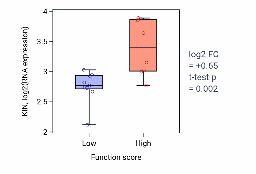 Box plot of KIN in Positive regulation of transmembrane transport-low vs -high samples in LIVER.