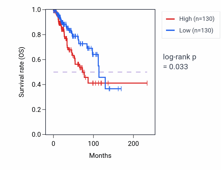 Kaplan&ndash;Meier survival curve for Dipeptide transmembrane transport pathway activity in BRCA: high vs low activity groups.
