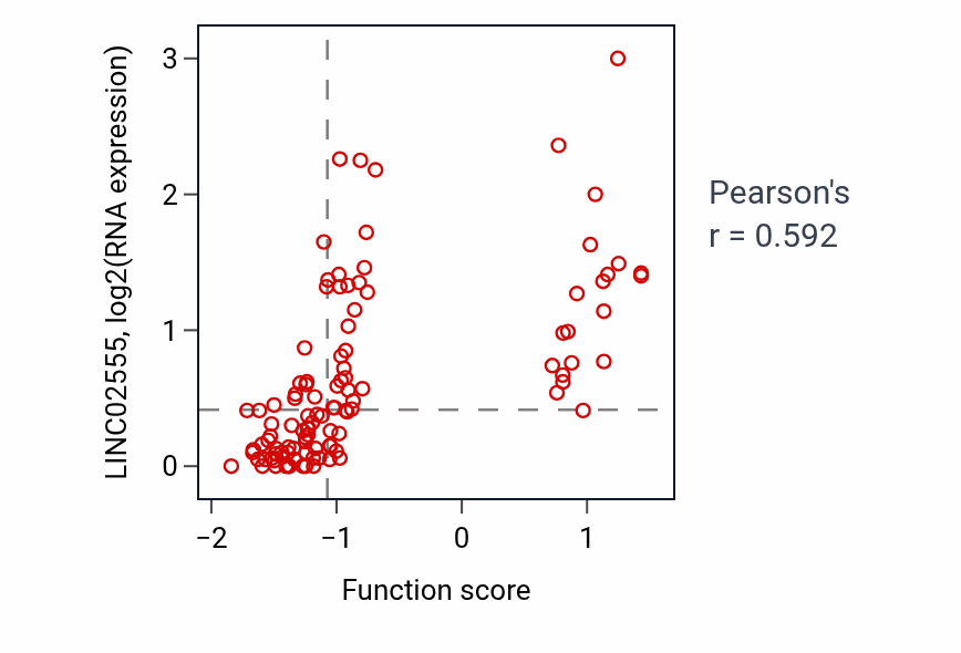 Per-sample scatter of Regulation of kidney size activity vs LINC02555 in LSCC.