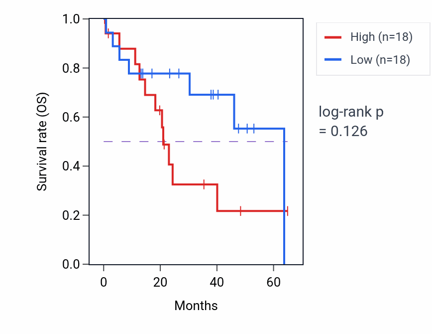 Kaplan&ndash;Meier survival curve for Mitochondrial protein catabolic process pathway activity in CHOL: high vs low activity groups.