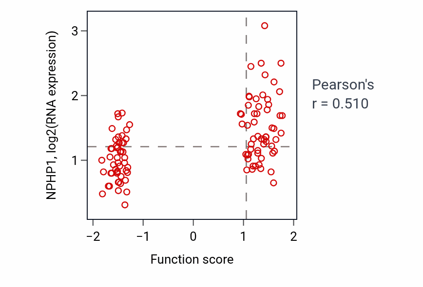 Per-sample scatter of Intraciliary anterograde transport activity vs NPHP1 in LSCC.