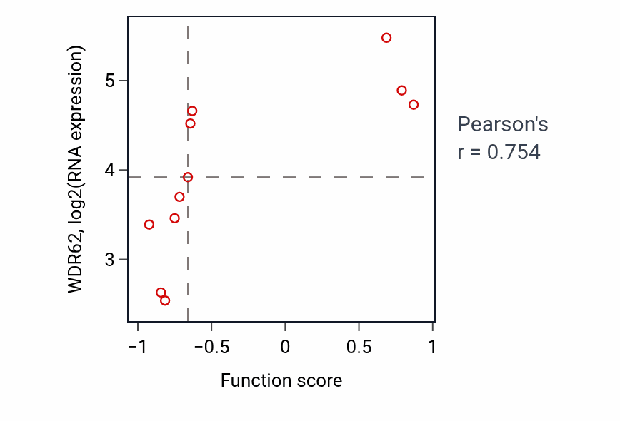 Per-sample scatter of Intraciliary transport involved in cilium assembly activity vs WDR62 in BLOOD_Leukemia.