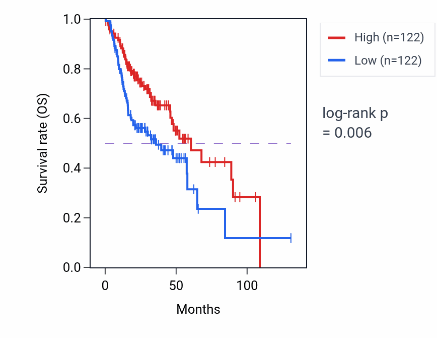 Kaplan&ndash;Meier survival curve for Positive regulation of mitochondrial membrane permeability pathway activity in HNSC: high vs low activity groups.