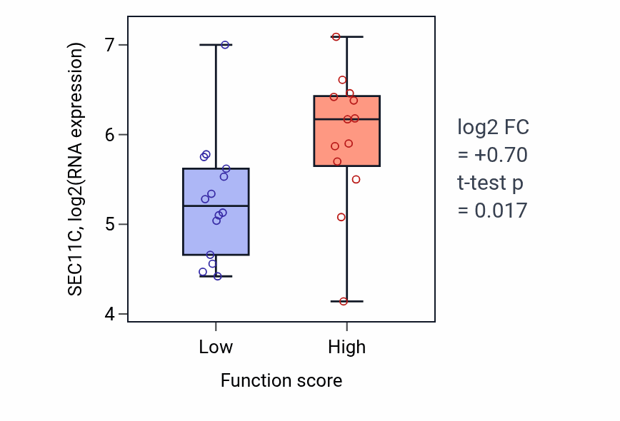 Box plot of SEC11C in Outer dynein arm assembly-low vs -high samples in KIDNEY.