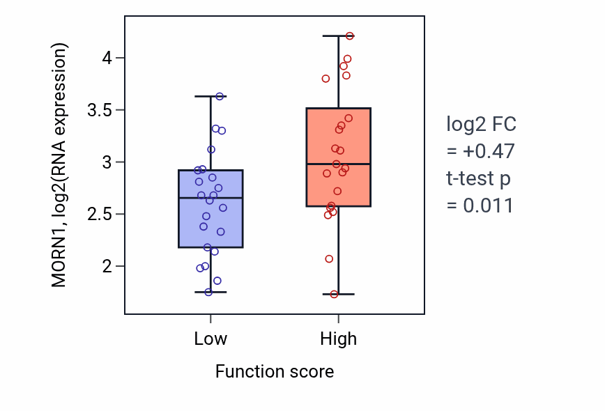 Box plot of MORN1 in Atrioventricular canal development-low vs -high samples in SKIN.