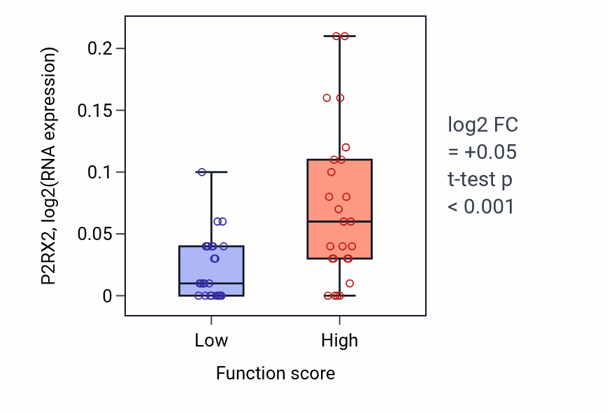 Box plot of P2RX2 in Norepinephrine metabolic process-low vs -high samples in CNS.