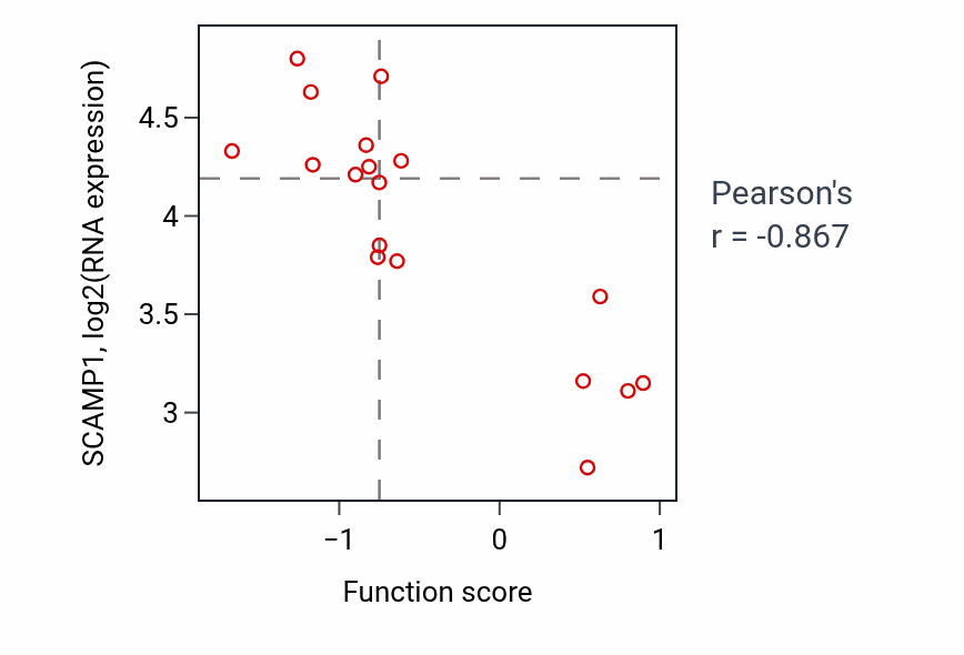 Per-sample scatter of Ribonucleoside catabolic process activity vs SCAMP1 in OVARY.