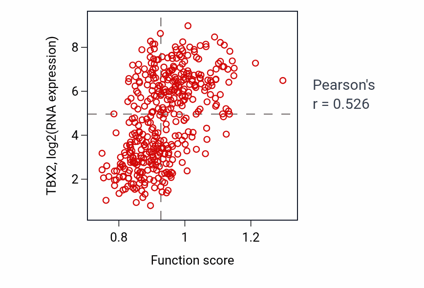 Per-sample scatter of Muscle cell fate commitment activity vs TBX2 in BLCA.